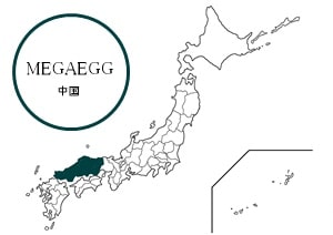 megaegg